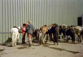 Een blik achter de manege